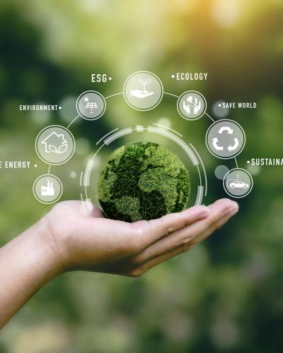 Environmental Related Conditions Near Me in Rock Hill, SC