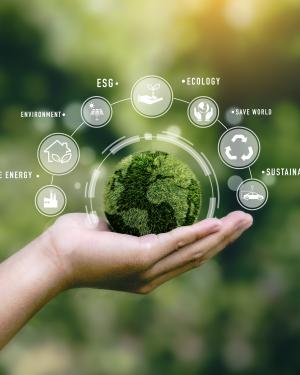 Environmental Related Conditions Near Me in Rock Hill, SC