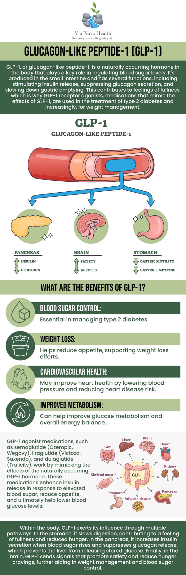 At Via Nova Health, we offer GLP-1 injections to support your medical weight loss journey. GLP-1 is a powerful hormone that helps regulate blood sugar, reduce appetite, and promote fat loss. By incorporating GLP-1 injections into a comprehensive weight loss plan, we can help you achieve sustainable results. Dr. Jeff Matz, DC, MS, and our medical team will work with you to develop a customized weight loss program that incorporates GLP-1 to enhance your success. For more information, contact us or request an appointment online.