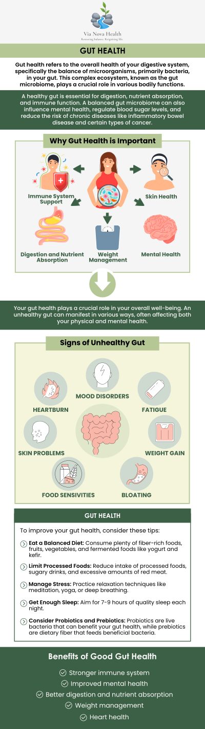 At Via Nova Health, we focus on improving your gastrointestinal (GI) health for better digestion, absorption, and overall well-being. Whether you're struggling with IBS, acid reflux, bloating, or other GI disorders, Dr. Jeff Matz, DC, MS, and our team provide personalized care to address and improve gut health. We work with you to identify triggers, optimize digestion, and support your body’s natural processes. For more information, contact us or request an appointment online. At Via Nova Health, we focus on improving your gastrointestinal (GI) health for better digestion, absorption, and overall well-being. Whether you're struggling with IBS, acid reflux, bloating, or other GI disorders, Dr. Jeff Matz, DC, MS, and our team provide personalized care to address and improve gut health. We work with you to identify triggers, optimize digestion, and support your body’s natural processes. For more information, contact us or request an appointment online.
