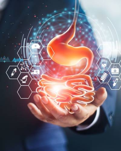 Gut Health Near Me in Rock Hill, SC