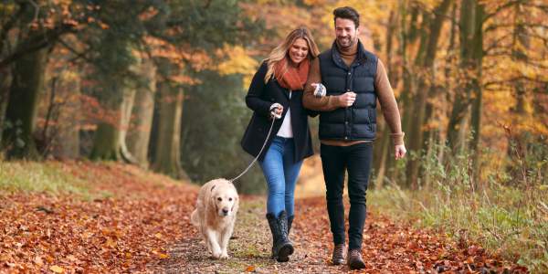 3 Paths to Get to the Same Place