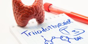 The Missing Piece of the Thyroid Puzzle: Understanding T3 Uptake