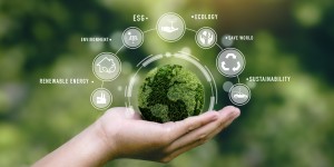 Environmental-Related Conditions Treatment in Rock Hill, SC