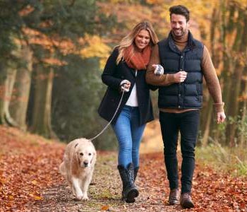 3 Paths to Get to the Same Place