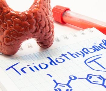 The Missing Piece of the Thyroid Puzzle: Understanding T3 Uptake
