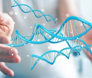 The Methylation Maze: Why Knowing Your Genes Matters for Choosing Supplements