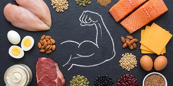 Why Muscle Mass Is the #1 Predictor of Longevity (and How to Protect It)