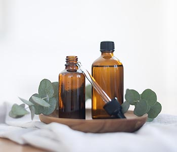 The Power of "Micro-Immersion": Why Nature is Essential Medicine | Rock Hill, SC The Power of "Micro-Immersion": Why Nature is Essential Medicine | Rock Hill, SC