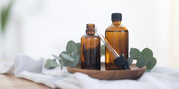 The Power of "Micro-Immersion": Why Nature is Essential Medicine | Rock Hill, SC The Power of "Micro-Immersion": Why Nature is Essential Medicine | Rock Hill, SC