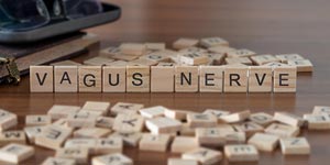 How Can You Reset Your Vagus Nerve Naturally With Daily Rituals? | Rock Hill, SC How Can You Reset Your Vagus Nerve Naturally With Daily Rituals? | Rock Hill, SC