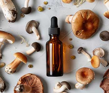 Beyond the Hype: The Functional Benefits of Medicinal Mushrooms | Rock Hill, SC Beyond the Hype: The Functional Benefits of Medicinal Mushrooms | Rock Hill, SC